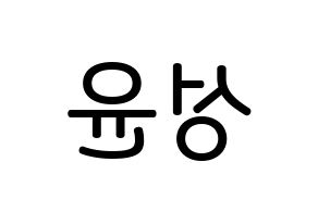 KPOP idol Golden Child  Y (Choi Sung-yun, Y) Printable Hangul name Fansign Fanboard resources for concert Reversed