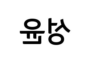 KPOP idol Golden Child  Y (Choi Sung-yun, Y) Printable Hangul name fan sign, fanboard resources for concert Reversed