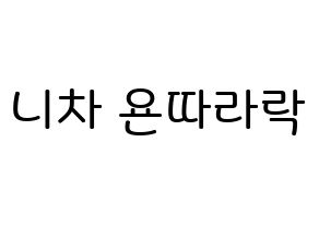 KPOP idol (G)I-DLE  민니 (Minnie Nicha Yontararak, Minnie) Printable Hangul name Fansign Fanboard resources for concert Normal