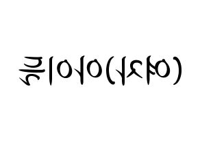 KPOP idol (G)I-DLE Printable Hangul fan sign, concert board resources for light sticks Reversed