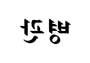 KPOP idol A.C.E  김병관 (Kim Byeong-kwan, Kim Byeongkwan) Printable Hangul name fan sign, fanboard resources for LED Reversed