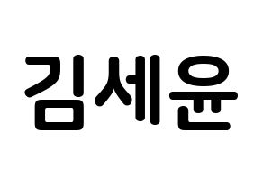 KPOP idol A.C.E  와우 (Kim Se-hyoon, Wow) Printable Hangul name fan sign, fanboard resources for concert Normal