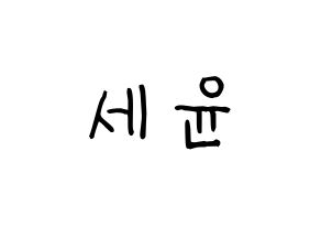 KPOP idol A.C.E  와우 (Kim Se-hyoon, Wow) Printable Hangul name fan sign, fanboard resources for light sticks Normal
