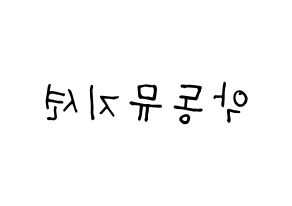 KPOP idol AKMU Printable Hangul Fansign concert board resources Reversed