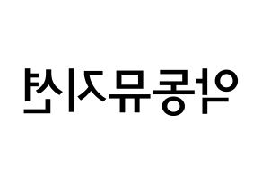 KPOP idol AKMU Printable Hangul Fansign Fanboard resources Reversed