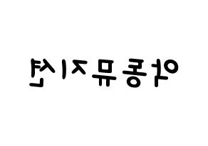 KPOP idol AKMU Printable Hangul Fansign concert board resources Reversed