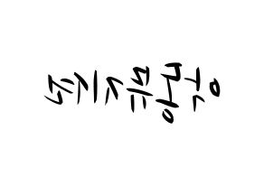 KPOP idol AKMU Printable Hangul fan sign, concert board resources for light sticks Reversed