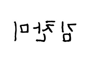 KPOP idol AOA  찬미 (Kim Chan-mi, Chanmi) Printable Hangul name fan sign, fanboard resources for concert Reversed