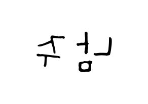 KPOP idol Apink  김남주 (Kim Nam-joo, Kim Nam-joo) Printable Hangul name Fansign Fanboard resources for concert Reversed