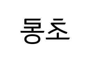 KPOP idol Apink  박초롱 (Park Cho-rong, Park Cho-rong) Printable Hangul name fan sign, fanboard resources for light sticks Reversed