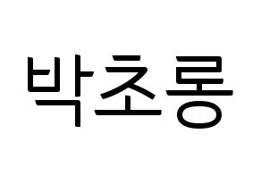 KPOP idol Apink  박초롱 (Park Cho-rong, Park Cho-rong) Printable Hangul name fan sign, fanboard resources for light sticks Normal