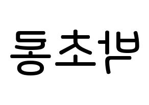 KPOP idol Apink  박초롱 (Park Cho-rong, Park Cho-rong) Printable Hangul name Fansign Fanboard resources for concert Reversed
