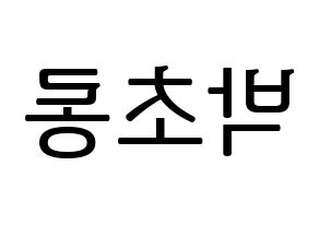 KPOP idol Apink  박초롱 (Park Cho-rong, Park Cho-rong) Printable Hangul name fan sign, fanboard resources for LED Reversed