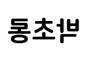 KPOP idol Apink  박초롱 (Park Cho-rong, Park Cho-rong) Printable Hangul name fan sign, fanboard resources for concert Reversed