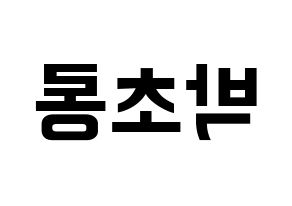 KPOP idol Apink  박초롱 (Park Cho-rong, Park Cho-rong) Printable Hangul name fan sign, fanboard resources for concert Reversed