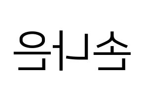 KPOP idol Apink  손나은 (Son Na-eun, Son Na-eun) Printable Hangul name fan sign, fanboard resources for LED Reversed