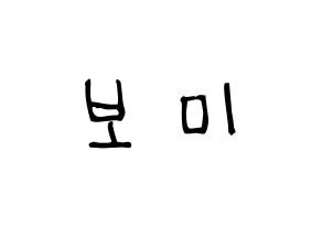 KPOP idol Apink  윤보미 (Yoon Bo-mi, Yoon Bo-mi) Printable Hangul name Fansign Fanboard resources for concert Normal