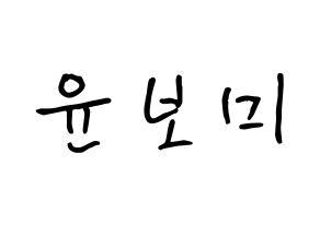 KPOP idol Apink  윤보미 (Yoon Bo-mi, Yoon Bo-mi) Printable Hangul name fan sign, fanboard resources for concert Normal