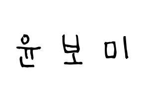 KPOP idol Apink  윤보미 (Yoon Bo-mi, Yoon Bo-mi) Printable Hangul name Fansign Fanboard resources for concert Normal