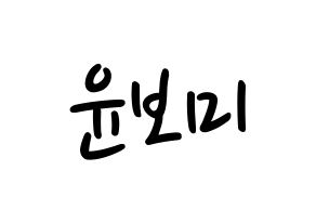 KPOP idol Apink  윤보미 (Yoon Bo-mi, Yoon Bo-mi) Printable Hangul name fan sign, fanboard resources for LED Normal
