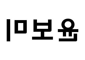 KPOP idol Apink  윤보미 (Yoon Bo-mi, Yoon Bo-mi) Printable Hangul name fan sign & fan board resources Reversed