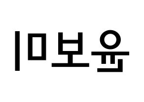 KPOP idol Apink  윤보미 (Yoon Bo-mi, Yoon Bo-mi) Printable Hangul name Fansign Fanboard resources for concert Reversed