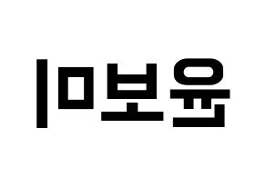 KPOP idol Apink  윤보미 (Yoon Bo-mi, Yoon Bo-mi) Printable Hangul name fan sign, fanboard resources for concert Reversed