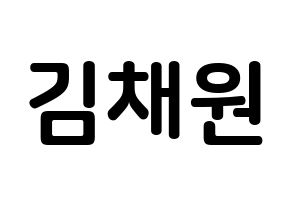 KPOP idol APRIL  김채원 (Kim Chae-won, Chaewon) Printable Hangul name fan sign, fanboard resources for concert Normal