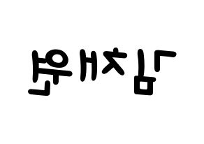 KPOP idol APRIL  김채원 (Kim Chae-won, Chaewon) Printable Hangul name fan sign, fanboard resources for light sticks Reversed