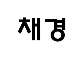 KPOP idol APRIL  윤채경 (Yoon Chae-kyung, Chaekyung) Printable Hangul name fan sign & fan board resources Normal