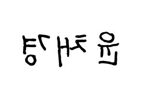 KPOP idol APRIL  윤채경 (Yoon Chae-kyung, Chaekyung) Printable Hangul name fan sign, fanboard resources for concert Reversed