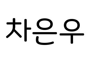 KPOP idol ASTRO  차은우 (Lee Dong-min, Cha-Eunwoo) Printable Hangul name Fansign Fanboard resources for concert Normal