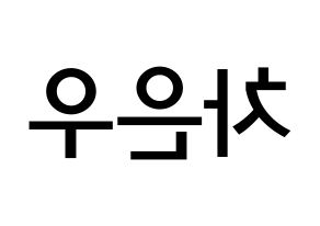 KPOP idol ASTRO  차은우 (Lee Dong-min, Cha-Eunwoo) Printable Hangul name Fansign Fanboard resources for concert Reversed