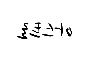 KPOP idol ASTRO Printable Hangul fan sign, concert board resources for light sticks Reversed