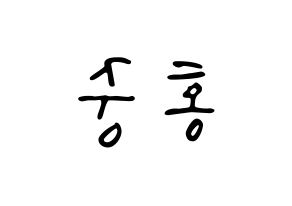 KPOP idol ATEEZ  홍중 (Kim Hong-joong, Seonghwa) Printable Hangul name fan sign, fanboard resources for LED Reversed
