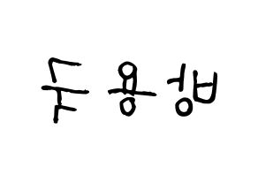 KPOP idol B.A.P  용국 (Bang Yong-guk, Yongguk) Printable Hangul name fan sign, fanboard resources for light sticks Reversed