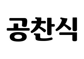 KPOP idol B1A4  공찬 (Gong Chan-sik, Gongchan) Printable Hangul name fan sign, fanboard resources for light sticks Normal