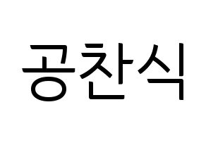 KPOP idol B1A4  공찬 (Gong Chan-sik, Gongchan) Printable Hangul name fan sign, fanboard resources for light sticks Normal
