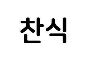 KPOP idol B1A4  공찬 (Gong Chan-sik, Gongchan) Printable Hangul name fan sign, fanboard resources for concert Normal
