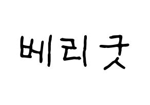 KPOP idol Berry Good Printable Hangul fan sign & fan board resources Normal