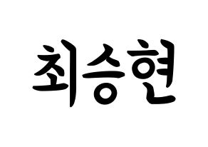 KPOP idol BIGBANG  탑 (Choi Seung-hyun, T.O.P) Printable Hangul name fan sign, fanboard resources for concert Normal