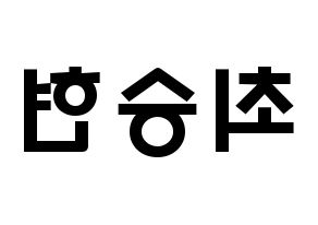 KPOP idol BIGBANG  탑 (Choi Seung-hyun, T.O.P) Printable Hangul name fan sign & fan board resources Reversed
