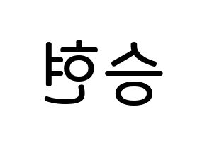 KPOP idol BIGBANG  탑 (Choi Seung-hyun, T.O.P) Printable Hangul name Fansign Fanboard resources for concert Reversed