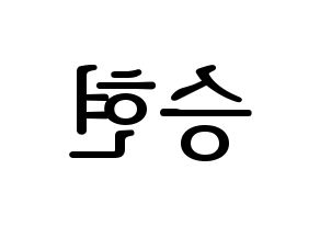 KPOP idol BIGBANG  탑 (Choi Seung-hyun, T.O.P) Printable Hangul name fan sign, fanboard resources for LED Reversed
