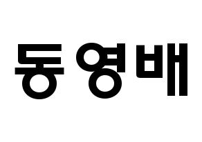 KPOP idol BIGBANG  태양 (Dong Young-bae, Taeyang) Printable Hangul name fan sign & fan board resources Normal