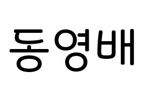 KPOP idol BIGBANG  태양 (Dong Young-bae, Taeyang) Printable Hangul name Fansign Fanboard resources for concert Normal