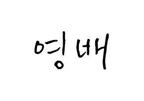 KPOP idol BIGBANG  태양 (Dong Young-bae, Taeyang) Printable Hangul name fan sign, fanboard resources for concert Normal