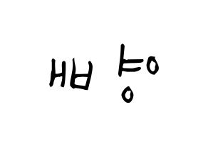 KPOP idol BIGBANG  태양 (Dong Young-bae, Taeyang) Printable Hangul name Fansign Fanboard resources for concert Reversed