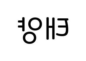 KPOP idol BIGBANG  태양 (Dong Young-bae, Taeyang) Printable Hangul name Fansign Fanboard resources for concert Reversed
