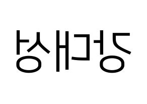 KPOP idol BIGBANG  대성 (Kang Dae-sung, Daesung) Printable Hangul name fan sign, fanboard resources for LED Reversed